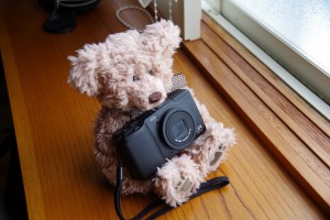 GRD4 シャッター回数確認方法