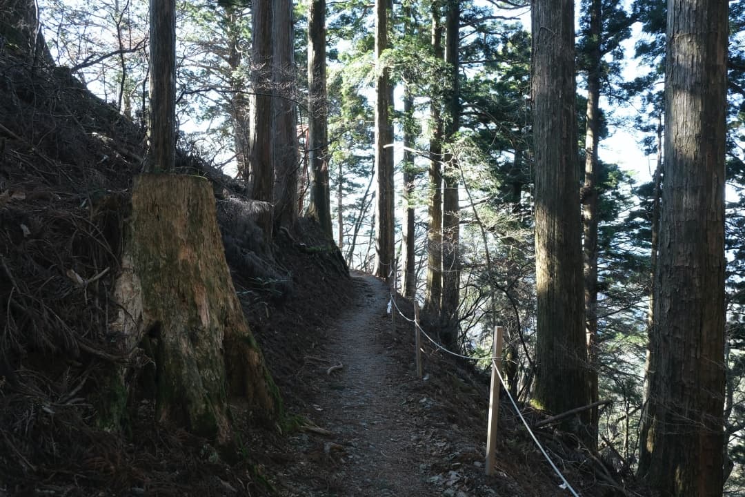 tamakijinja