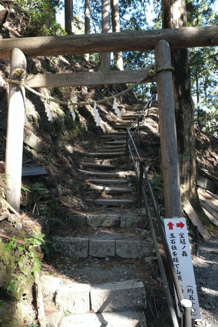 tamakijinja