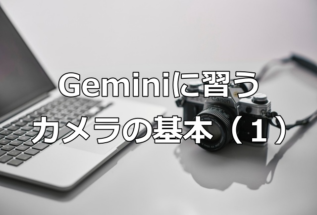 Gemini1